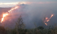 Incendio Forestal en Colmenar, La Axarquía, Málaga